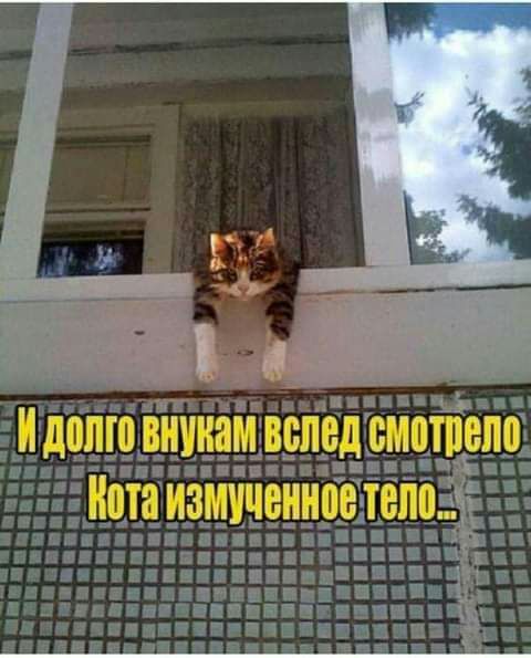 Віііііаіі ВЩЁД іііііііііе тц ппц япшдіпшпэ ііпта ИЗіііііііііііііВіВіііі п ап т тизз ЗЕПЦі МШЕ ча