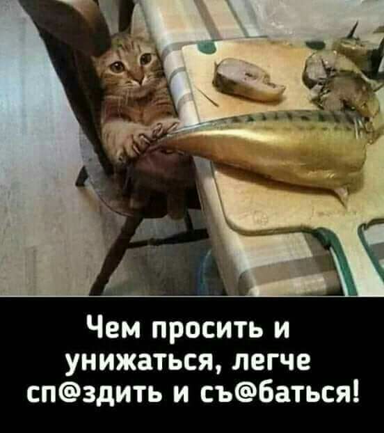 Чем просить и унижаться легче спздить и събаться