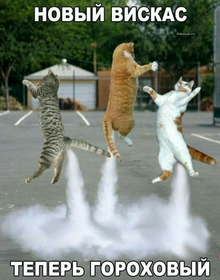 новый ізиекАс _щ ЁЁШВЬГ Ж