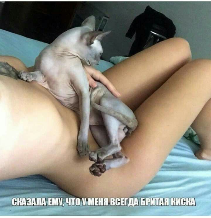 __іхш_ шины алкаш хде