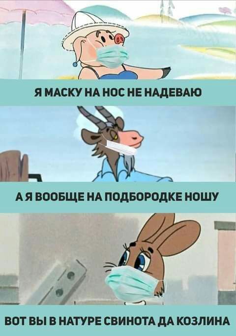 Ё 7 тт ВОТ ВЫ В НАТУРЕ СВИНОТА дА КОЗЛИНА