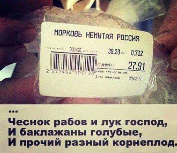 МОРКОВЬ НЕННТЯЯ РОССИЯ Чеснок рабов и лук господ И баклажаны голубые И прочий разный корнеплод