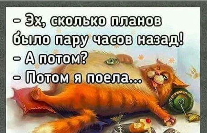 ошп чж