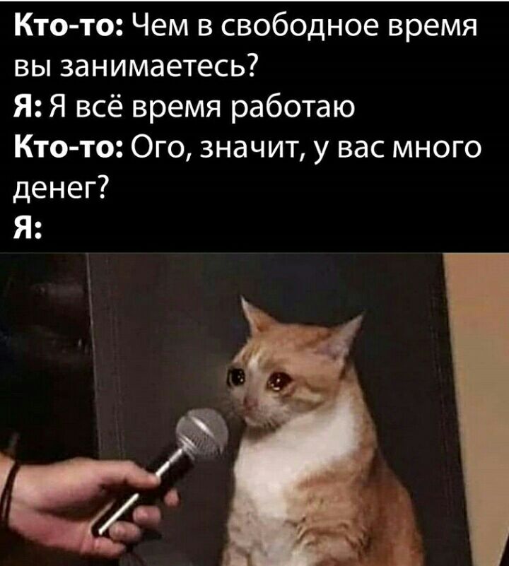 Кто то Чем в свободное время вы занимаетесь Я Я всё время работаю Кто то Ого значит у вас много денег Я