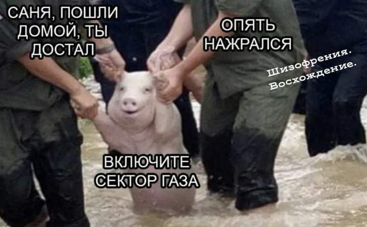 САНЯ приТпи домои тЪн