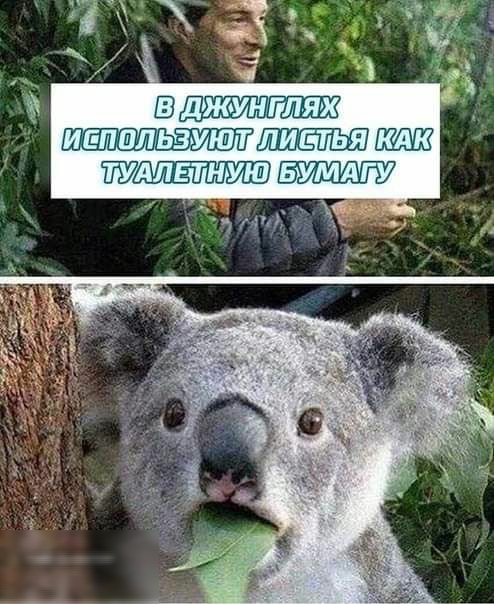 дз Ш ИЙД