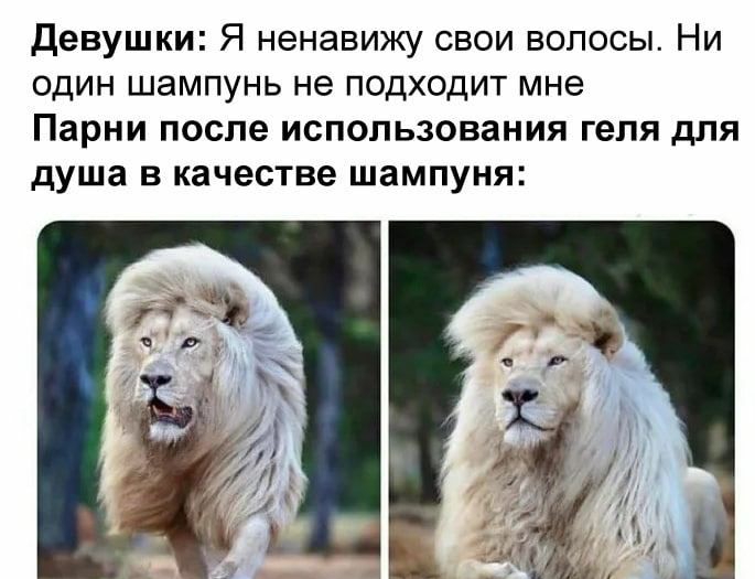 Девушки Я ненавижу свои волосы Ни один шампунь не подходит мне Парни после использования геля для душа в качестве шампуня