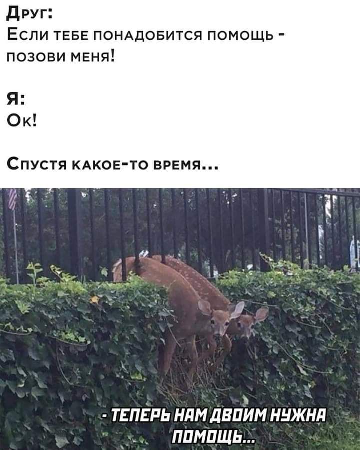 друг Если ТЕБЕ помдовится помощь позови меня Я Ок СПУСТЯ КАКОЕТО ВРЕМЯ _ ТЕПЕРЬ НДИ ЛВПИМ ННЖНН ППМПЩЬ