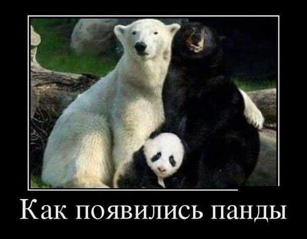 Как ПОЯВИЛИСЬ ПЗНДЫ