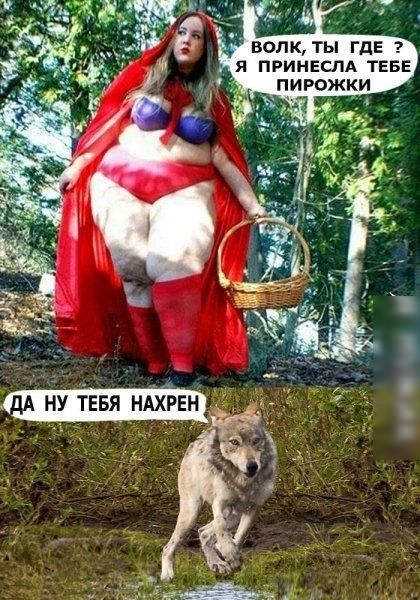 ВОЛК ТЫ ГдЕ я ПРИНЕСПА ТЕБЕ