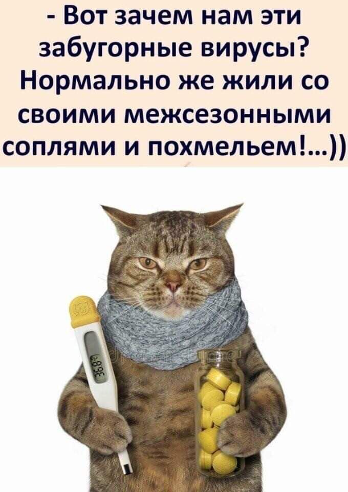 Вот зачем нам эти забугорные вирусы Нормально же жили со своими межсезонными соплями и похмельем