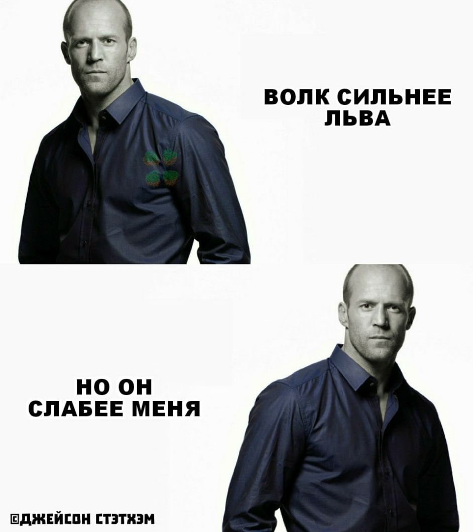 ВОЛК СИПЬНЕЕ ЛЬВА НО ОН СЛАБЕЕ МЕНЯ Шджнйппи тзтизм