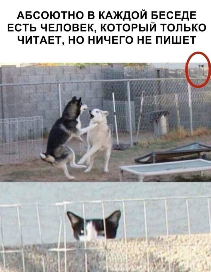 АБСОЮТНО В КАЖДОЙ БЕСЕДЕ ЕСТЬ ЧЕЛОВЕК КОТОРЫИ ТОЛЬКО ЧИТАЕТ НО НИЧЕГО НЕ ПИШЕТ
