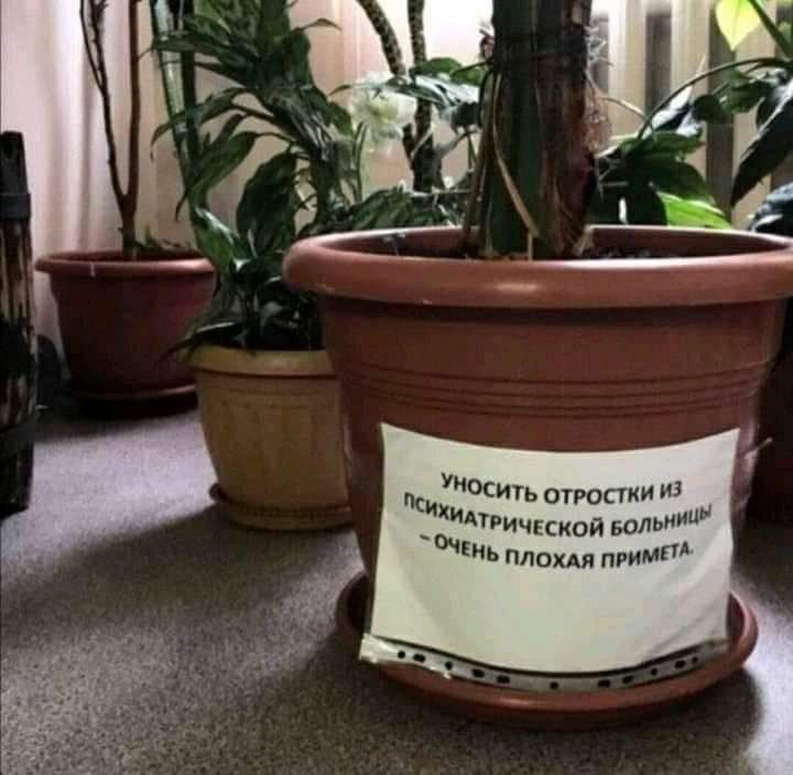 100 3 тр Т и И 0С Ь О РИЧЕСКОЙ БО Ы ОХАЯ ПРИ Иь п м Пси