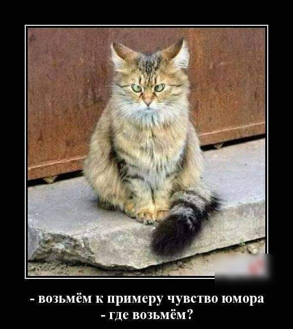 возьмём к примеру чувство юмора где возьмём