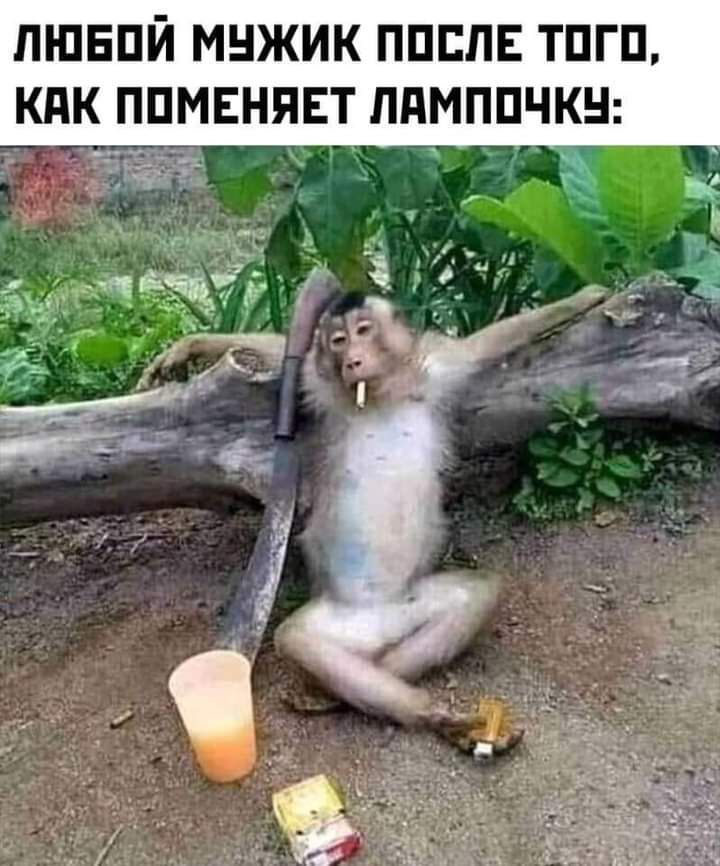 ПШЕПЙ МНЖИК ППЕПЕ ТПГП КПК ППМЕНЯЕТ ППМППЧКН Ё