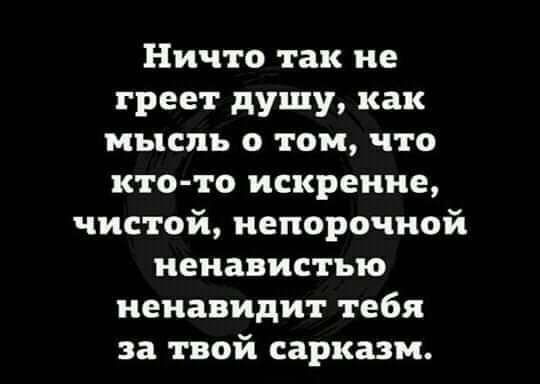 Ничто так не греет душу как мысль о том что ктото искренне чистой непорочной ненавистью ненавидит тебя за твой сарказм