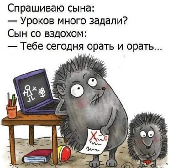 Спрашиваю сына Уроков много задали Сын со вздохом Тебе сегодня орать и орать