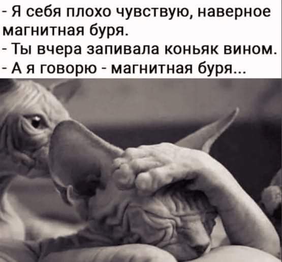 Я себя плохо чувствую наверное магнитная буря Ты вчера запивала коньяк вином А я говорю магнитная буря