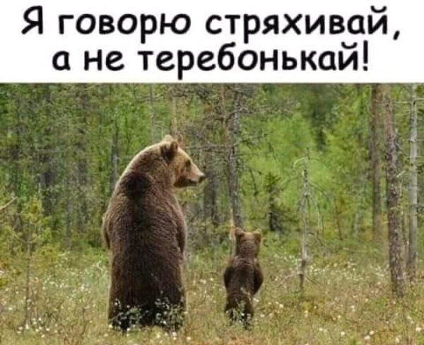 Я говорю стряхивай не теребонькаи