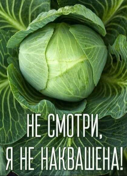 нЁТвмшри ЕЯ НЕНАКМШЕНА Ш