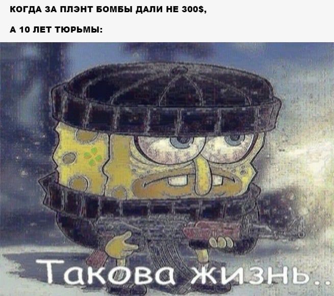 КОГДА ЗА ППЗНТ БОМБЫ ДАПИ НЕ 300 А 10 ЛЕТ ТЮРЬМЫ