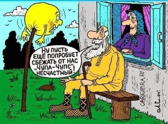 свежт чада 231