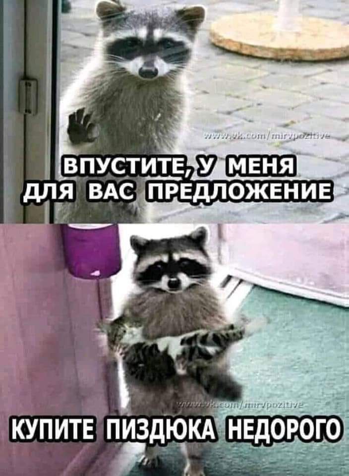купите пИздюкА