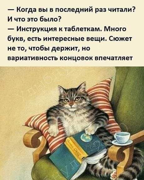 Когда вы в последний раз читали И что это было Инструкция к таблеткам Мнпго букв есть интересные вещи Сюжет не то чтобы держит на вариативность концовок впечатляет