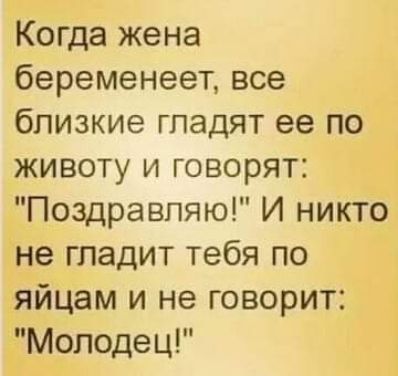 Когда жена беременеет все близкие гладят ее по животу и говорят Поздравляю И никто не гладит тебя по яйцам и не говорит Молодец