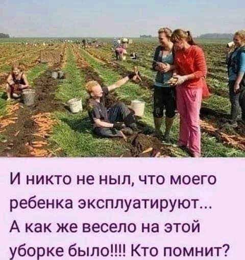 И никто не ныл что моего ребенка эксплуатируют А как же весело на этой уборке было Кто помнит