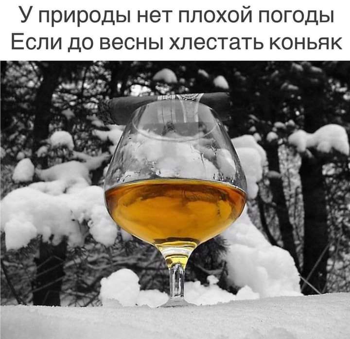 У природы нет плохой погоды Если до весны хлестать коньяк
