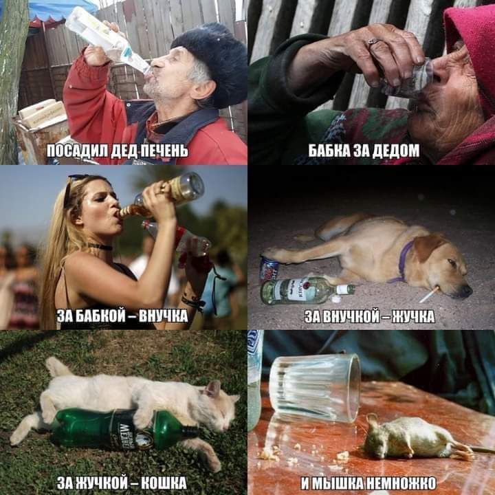наш вп дши