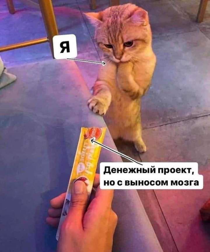 денежный проект но с выносом мозга