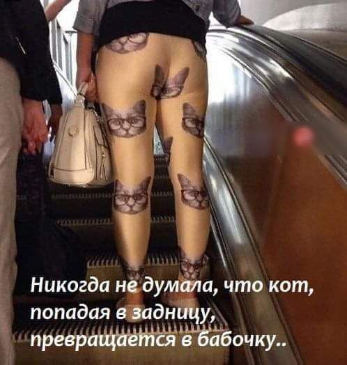 Никогда нё думала что кот попадая в задн префав убочку