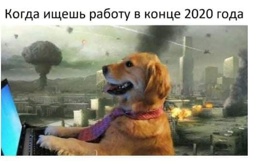 Когда ищешь работу в конце 2020 года