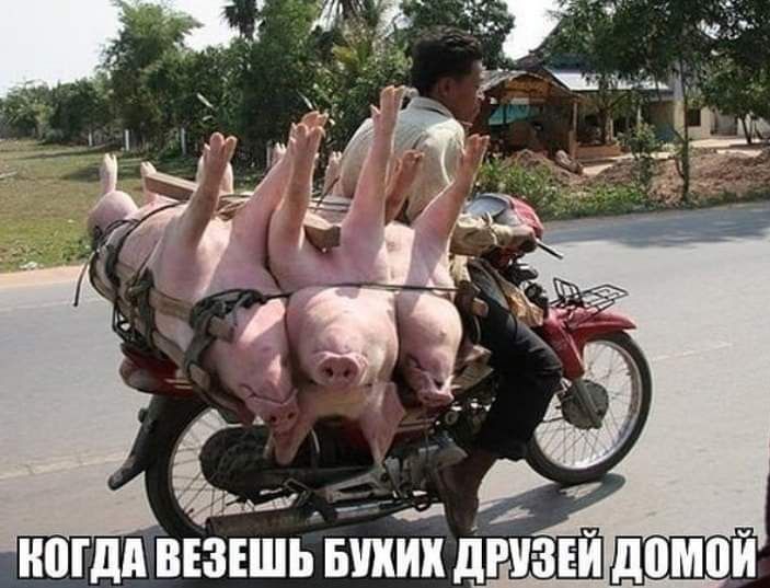 ИШдП ВЕЗЕШЬ БИИИИ дРУ ЗЕИ дВМПИ