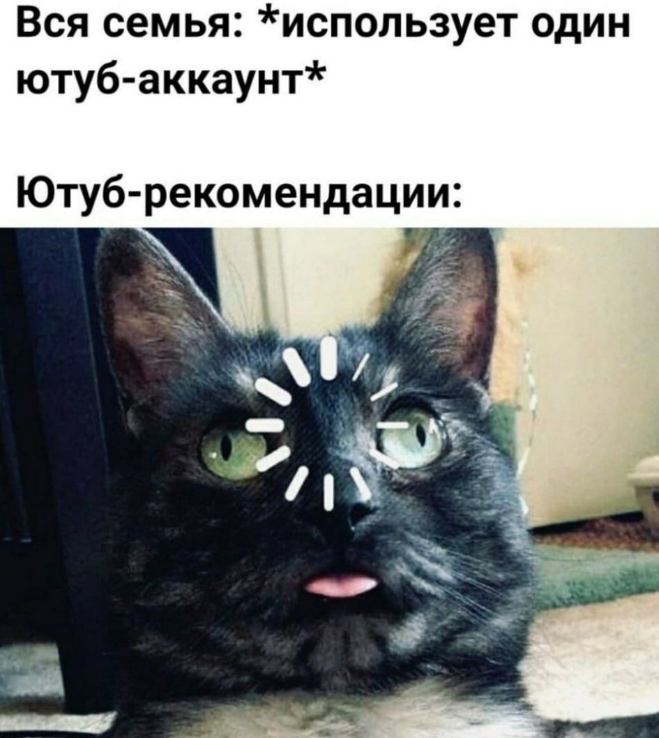 Вся семья использует один ютуб аккаунт Ютуб рекомендации
