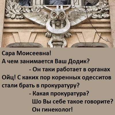 Сара Моисеевна А чем занимается Ваш Додик Он таки работает в органах Ойц С каких пор коренных одесситов стали брать в прокуратуру Какая прокуратура Шо Вы себе такое говорите Он гинеколог