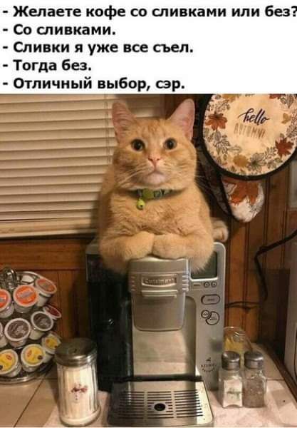 Желаете кафе со сливками или без со спинками Сливки я уже все съел Тогда без Отличный выбор вр