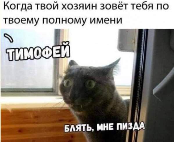 Когда твой хозяин зовёт тебя по твоему полному имени мять МНЕ ППМ
