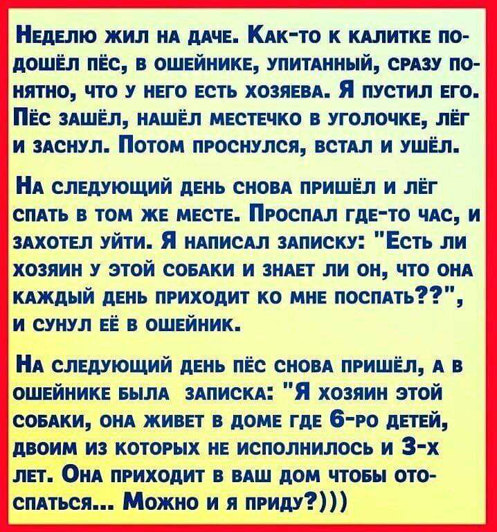Неделю жил НА дАЧЕ КАк то к кдлитке по дошел пЁс в ошейнике упитднный СРАЗУ по нятно что у него есть хозяевд Я пустил его ПЁс здшёл ндшел местечко в уголочке лег и моим Потом проснулся вот и ушёл НА следующий день сновА пришёл и лег спять в том же месте Проспял где то ЧАС и ЗАХОТЕЛ уйти Я НАПИСАЛ здписку Есть ли хозяин у этой СОБАКИ и зияет ли он что он кдждый день приходит ко мне поспАть и сунул 