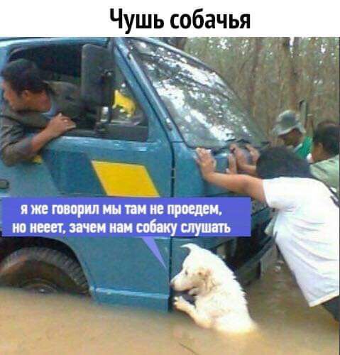 Чушь собачья