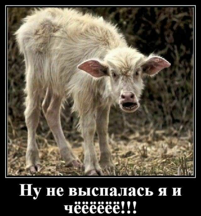__ Ну не выспалась я и 0000 чееееее