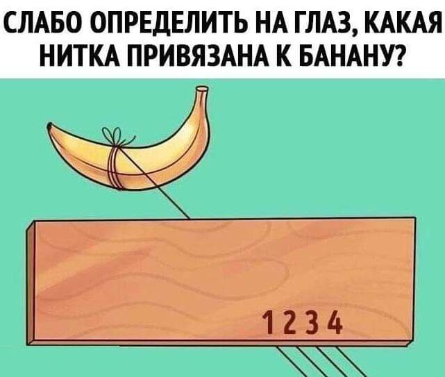 СЛАБО ОПРЕДЕЛИТЬ НА ГЛАЗ КАКАЯ НИТКА ПРИВЯЗАНА К БАНАНУ