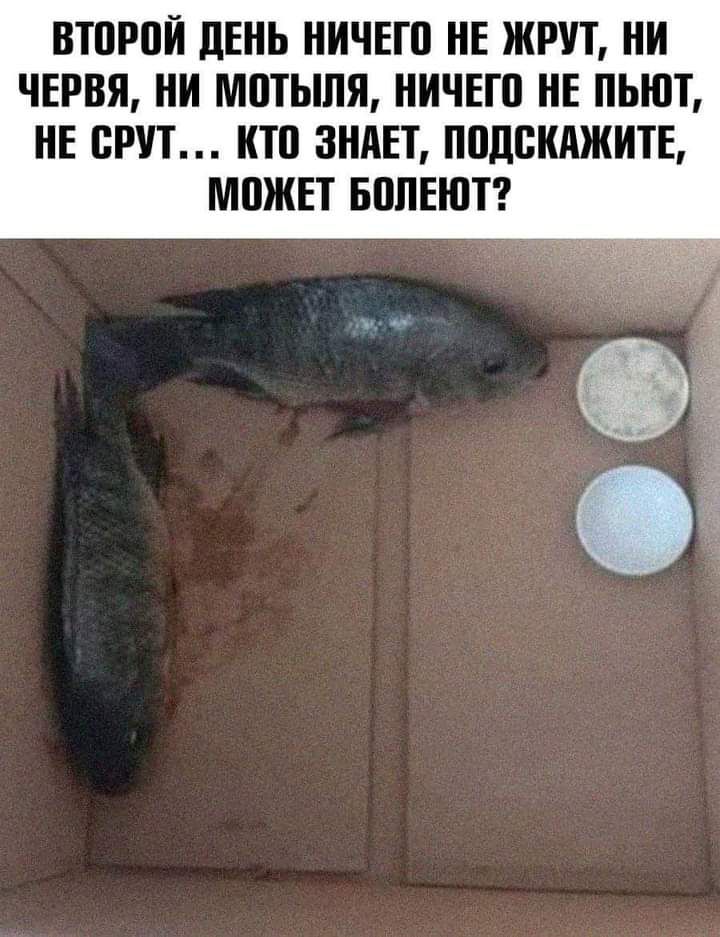 ВТПРБЙ дЕНЬ НИЧЕШ НЕ ЖРУТ НИ ЧЕРВЯ НИ МПТЫПЯ НИЧЕШ НЕ ПЬЮТ НЕ ВРП НЮ ЗНАЕТ П0д8НАЖИТЕ МВЖЕТ БППЕЮТ