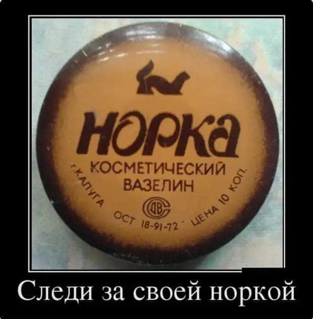Следи за своей норкой