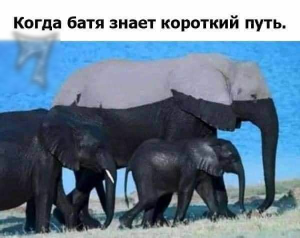 Когда батя знает короткий путь