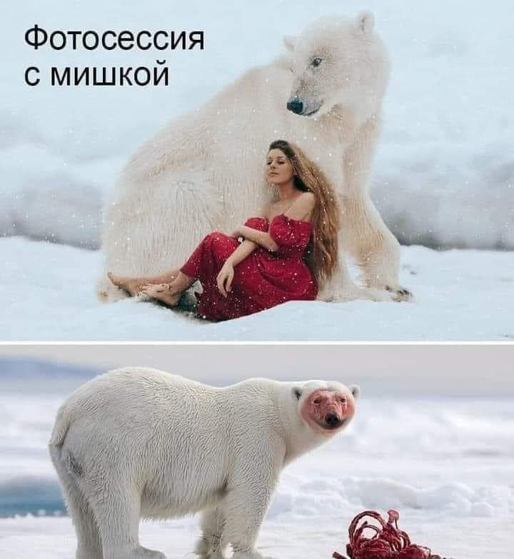 Фотосессия с мишкой