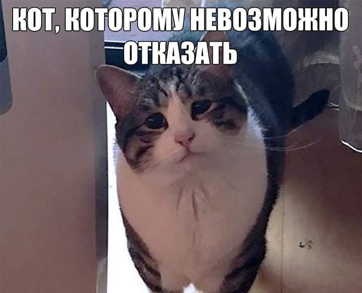 нот нотдтогдпмшіЁЁозмошно чтидзпть чтз